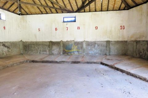 Landejendom i Espinhal, Coimbra, Espinhal - € 85.000 | Ref: ko2728 - foto 2
