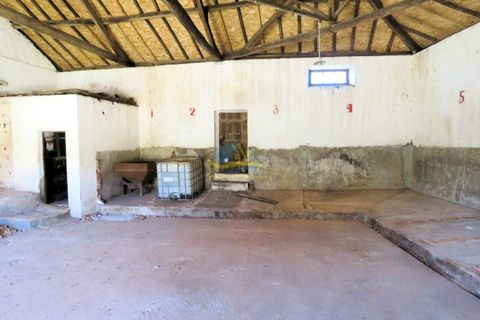 Landejendom i Espinhal, Coimbra, Espinhal - € 85.000 | Ref: ko2728 - foto 3