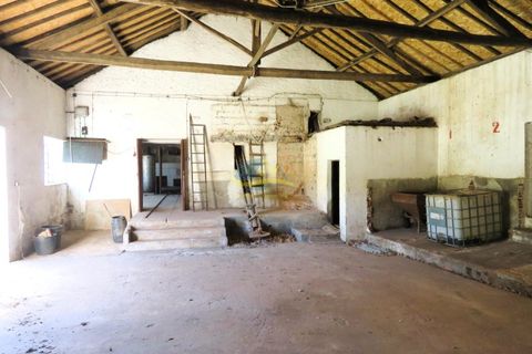 Landejendom i Espinhal, Coimbra, Espinhal - € 85.000 | Ref: ko2728 - foto 4