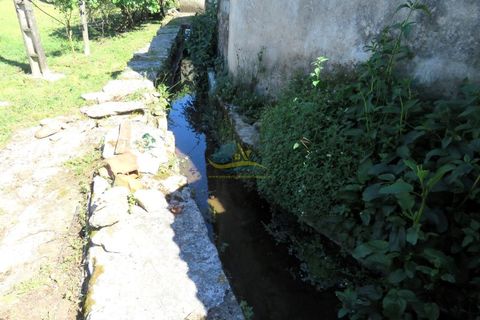 Landejendom i Espinhal, Coimbra, Espinhal - € 85.000 | Ref: ko2728 - foto 9