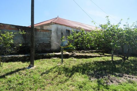 Landejendom i Espinhal, Coimbra, Espinhal - € 85.000 | Ref: ko2728 - foto 11