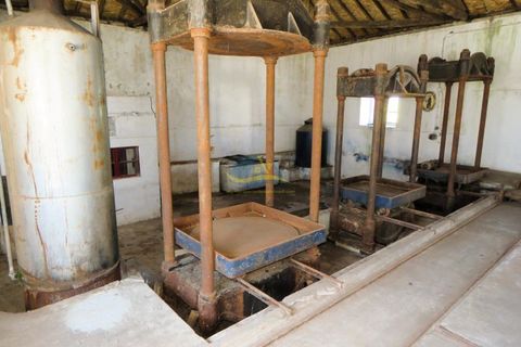 Landejendom i Espinhal, Coimbra, Espinhal - € 85.000 | Ref: ko2728 - foto 17