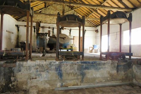 Landejendom i Espinhal, Coimbra, Espinhal - € 85.000 | Ref: ko2728 - foto 20