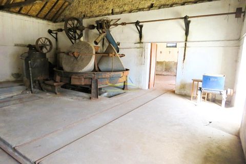 Landejendom i Espinhal, Coimbra, Espinhal - € 85.000 | Ref: ko2728 - foto 28