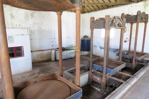 Landejendom i Espinhal, Coimbra, Espinhal - € 85.000 | Ref: ko2728 - foto 29