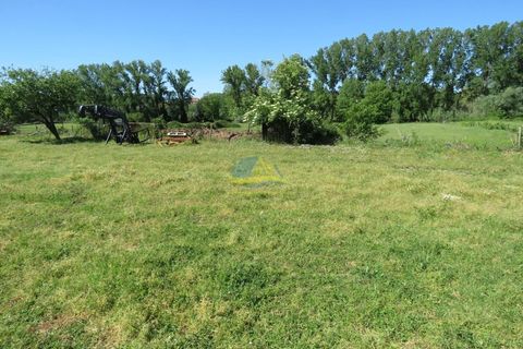 Landejendom i Espinhal, Coimbra, Espinhal - € 85.000 | Ref: ko2728 - foto 33