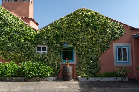 Cortijo i Miranda do Corvo, Coimbra, Miranda do Corvo - € 1.290.000 | Ref: ko2376 - foto 2