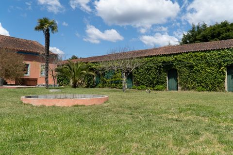 Cortijo i Miranda do Corvo, Coimbra, Miranda do Corvo - € 1.290.000 | Ref: ko2376 - foto 43
