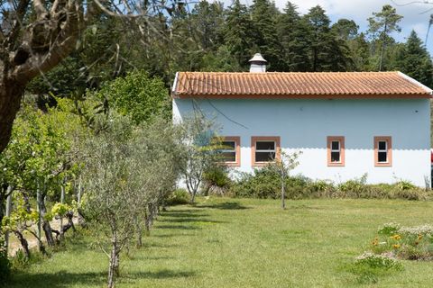 Cortijo i Miranda do Corvo, Coimbra, Miranda do Corvo - € 1.290.000 | Ref: ko2376 - foto 45