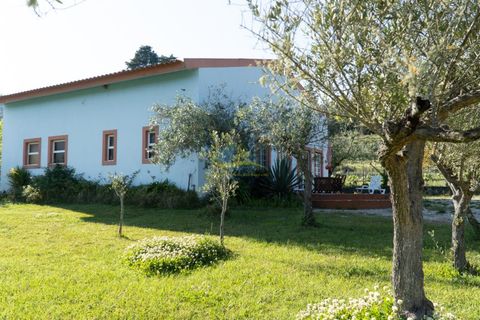 Cortijo i Miranda do Corvo, Coimbra, Miranda do Corvo - € 1.290.000 | Ref: ko2376 - foto 47