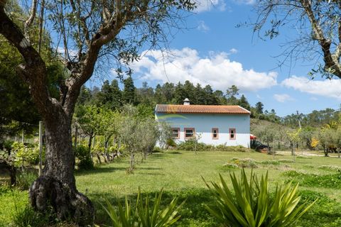 Cortijo i Miranda do Corvo, Coimbra, Miranda do Corvo - € 1.290.000 | Ref: ko2376 - foto 48
