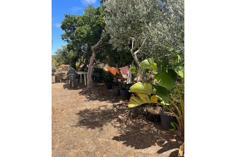 Villa i Bensafrim, Faro, Bensafrim - € 460.000 | Ref: 10382 - foto 5
