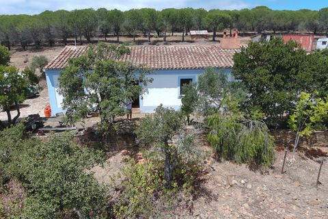 Villa i Bensafrim, Faro, Bensafrim - € 460.000 | Ref: 10382 - foto 24