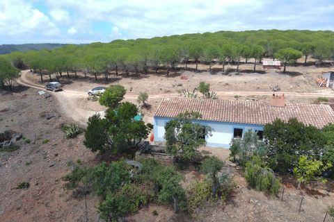 Villa i Bensafrim, Faro, Bensafrim - € 460.000 | Ref: 10382 - foto 25