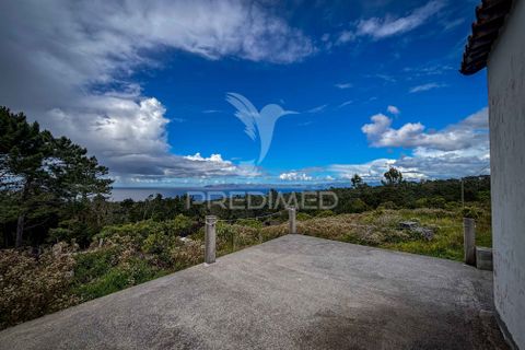 Byhus i Sao Roque do Pico, Pico, Sao Roque do Pico - € 269.000 | Ref: 060068 - foto 14