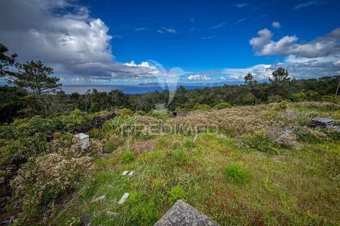 Byhus i Sao Roque do Pico, Pico, Sao Roque do Pico - € 269.000 | Ref: 060068 - foto 15
