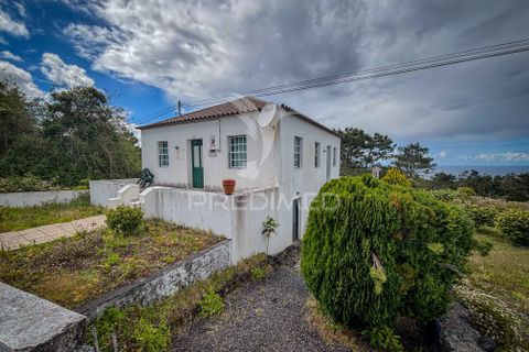 Byhus i Sao Roque do Pico, Pico, Sao Roque do Pico - € 269.000 | Ref: 060068 - foto 18