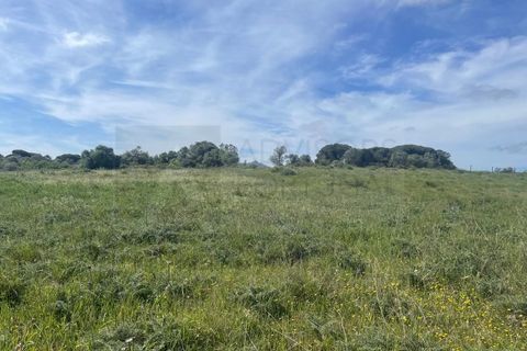 Helårsgrund i Sintra, Lisbon, Sintra - € 215.000 | Ref: ADV_498 - foto 1