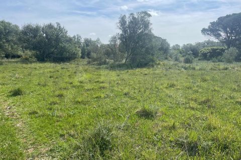 Helårsgrund i Sintra, Lisbon, Sintra - € 215.000 | Ref: ADV_498 - foto 2