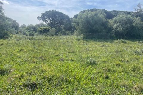 Helårsgrund i Sintra, Lisbon, Sintra - € 215.000 | Ref: ADV_498 - foto 3