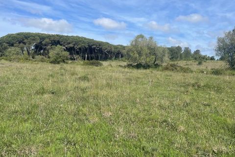 Helårsgrund i Sintra, Lisbon, Sintra - € 215.000 | Ref: ADV_498 - foto 4