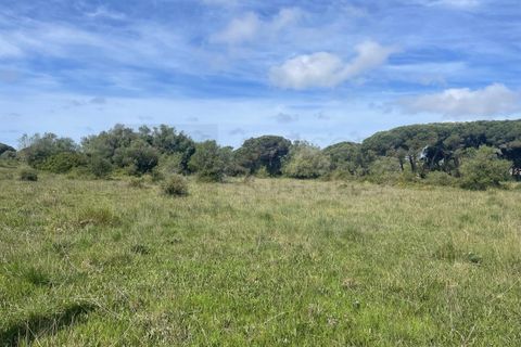 Helårsgrund i Sintra, Lisbon, Sintra - € 215.000 | Ref: ADV_498 - foto 5