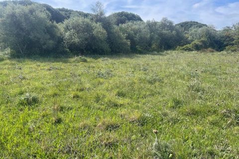 Helårsgrund i Sintra, Lisbon, Sintra - € 215.000 | Ref: ADV_498 - foto 6