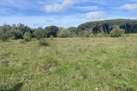 Helårsgrund i Sintra, Lisbon, Sintra - € 215.000 | Ref: ADV_498 - foto 7