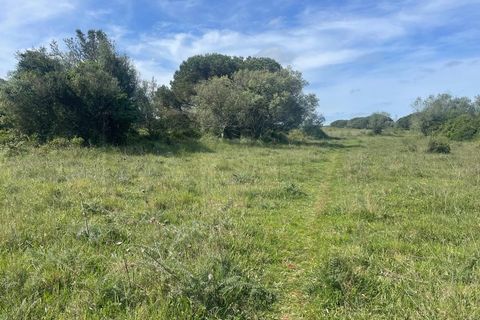 Helårsgrund i Sintra, Lisbon, Sintra - € 215.000 | Ref: ADV_498 - foto 8