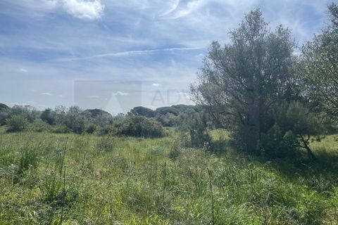 Helårsgrund i Sintra, Lisbon, Sintra - € 215.000 | Ref: ADV_498 - foto 9