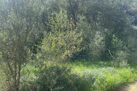 Helårsgrund i Sintra, Lisbon, Sintra - € 215.000 | Ref: ADV_498 - foto 10