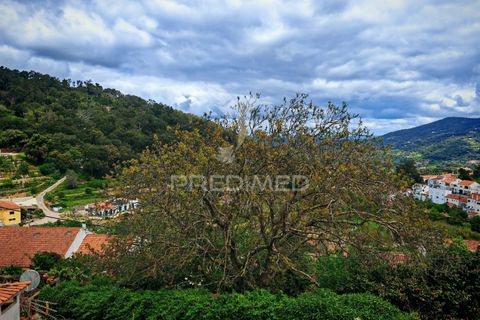 Byhus i Monchique, Faro, Monchique - € 380.000 | Ref: 059954 - foto 16