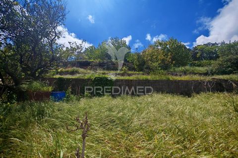 Byhus i Monchique, Faro, Monchique - € 380.000 | Ref: 059954 - foto 22