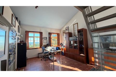 Farm i Tomar, Santarem, Tomar - € 1.380.000 | Ref: MJM6977QR1 - foto 45