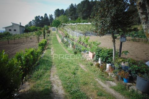 Helårsgrund i Vila Real, Vila Real, Vila Real - € 165.000 | Ref: 060049 - foto 5
