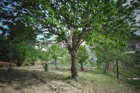 Helårsgrund i Vila Real, Vila Real, Vila Real - € 165.000 | Ref: 060049 - foto 16