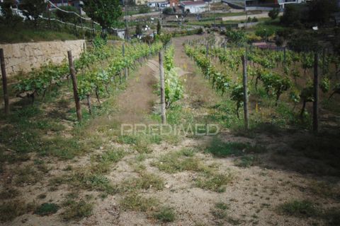 Helårsgrund i Vila Real, Vila Real, Vila Real - € 165.000 | Ref: 060049 - foto 25