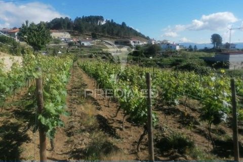 Helårsgrund i Vila Real, Vila Real, Vila Real - € 165.000 | Ref: 060049 - foto 39
