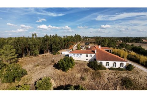 Villa i Tomar, Santarem, Tomar - € 1.380.000 | Ref: MJM6977R2 - foto 3