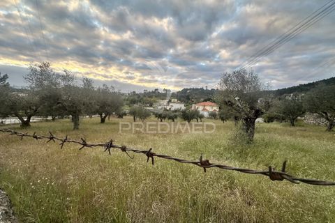 Byhus i Chaves, Vila Real, Chaves - € 200.000 | Ref: 060058 - foto 8
