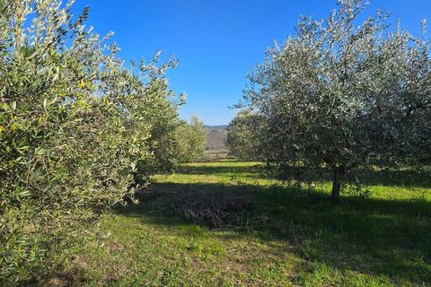 Villa i Todi, Perugia, Todi - € 169 000 | Ref: TODI48-2 - foto 16
