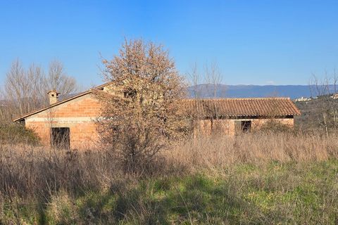 Villa i Todi, Perugia, Todi - € 169 000 | Ref: TODI48-2 - foto 20