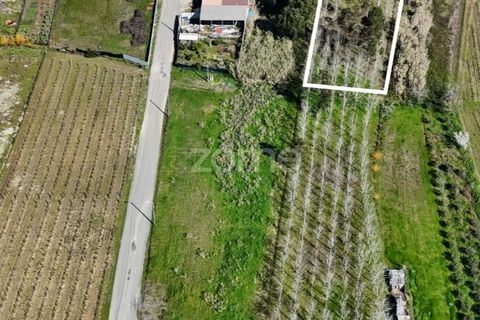 Helårsgrund i Anadia, Aveiro, Anadia - € 30.000 | Ref: ZMPT588089 - foto 2
