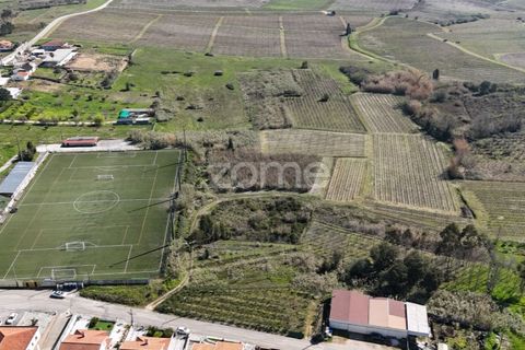 Helårsgrund i Anadia, Aveiro, Anadia - € 30.000 | Ref: ZMPT588089 - foto 4