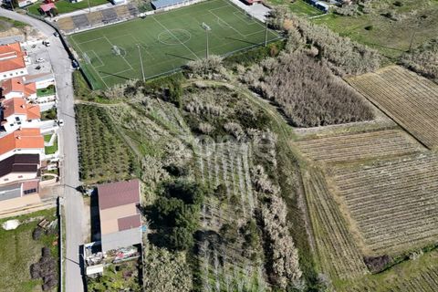 Helårsgrund i Anadia, Aveiro, Anadia - € 30.000 | Ref: ZMPT588089 - foto 8