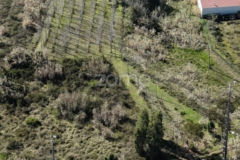 Helårsgrund i Anadia, Aveiro, Anadia - € 30.000 | Ref: ZMPT588089 - foto 11