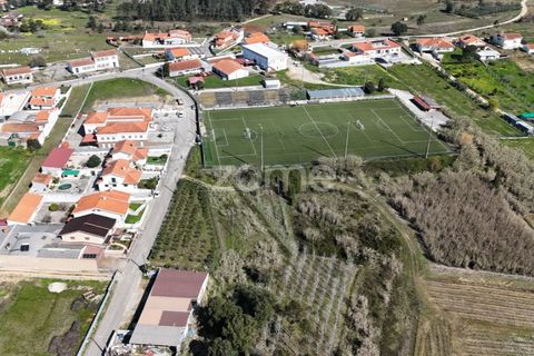 Helårsgrund i Anadia, Aveiro, Anadia - € 30.000 | Ref: ZMPT588089 - foto 12