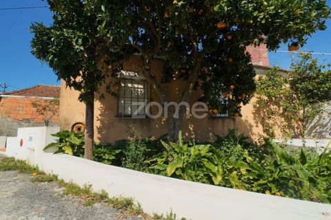 Villa i Anadia, Aveiro, Anadia - € 98.000 | Ref: ZMPT588016 - foto 4