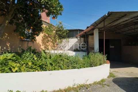 Villa i Anadia, Aveiro, Anadia - € 98.000 | Ref: ZMPT588016 - foto 5