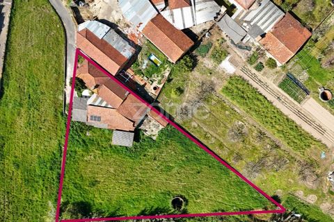 Villa i Anadia, Aveiro, Anadia - € 98.000 | Ref: ZMPT588016 - foto 8